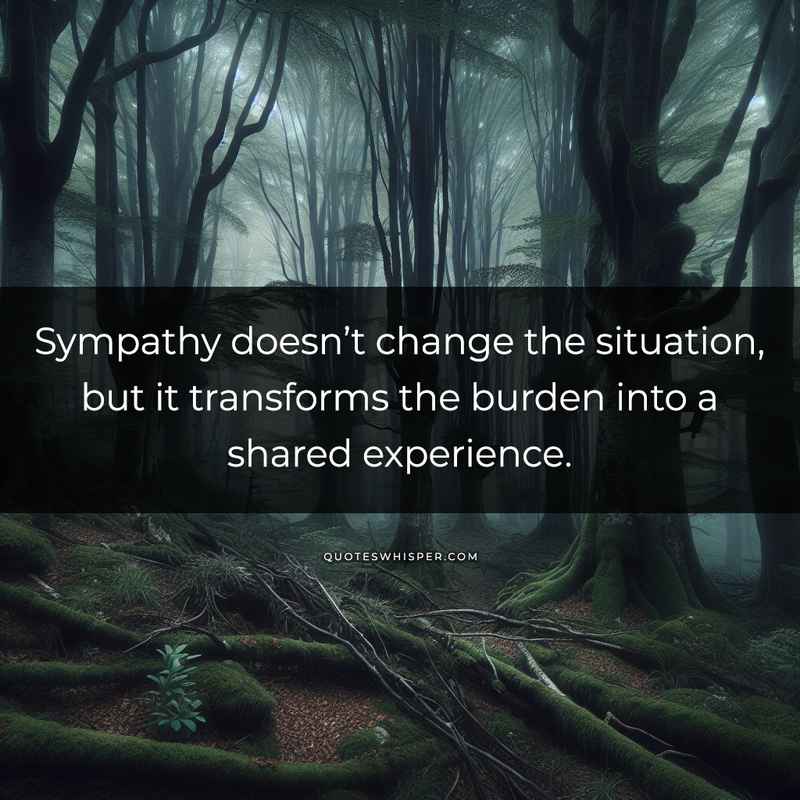 Sympathy doesn’t change the situation, but it transforms the burden into a shared experience.