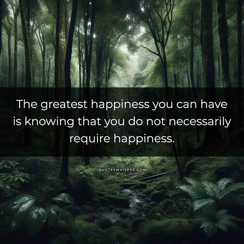 The greatest happiness you can have is knowing that you do not necessarily require happiness.