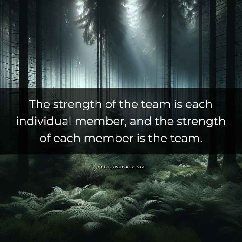 The strength of the team is each individual member, and the strength of each member is the team.