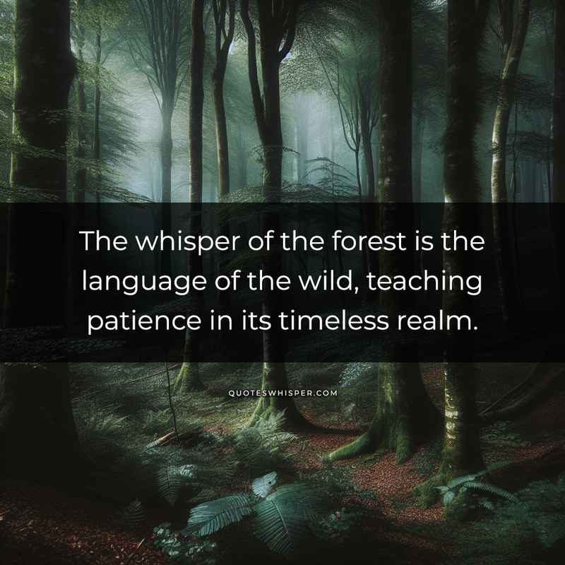 The whisper of the forest is the language of the wild, teaching patience in its timeless realm.
