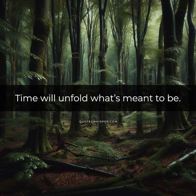 Time will unfold what’s meant to be.