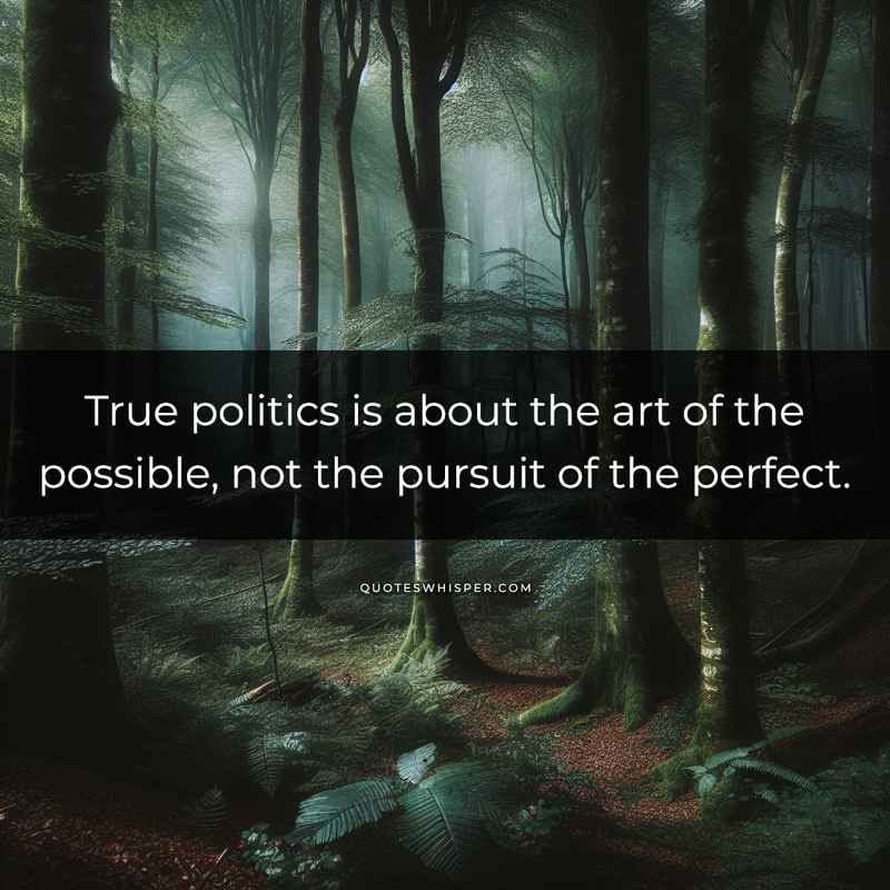 True politics is about the art of the possible, not the pursuit of the perfect.