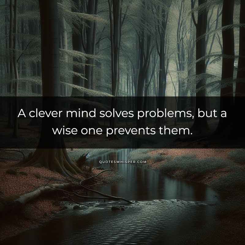 A clever mind solves problems, but a wise one prevents them.