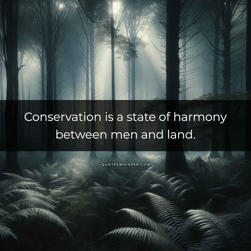 Conservation is a state of harmony between men and land.