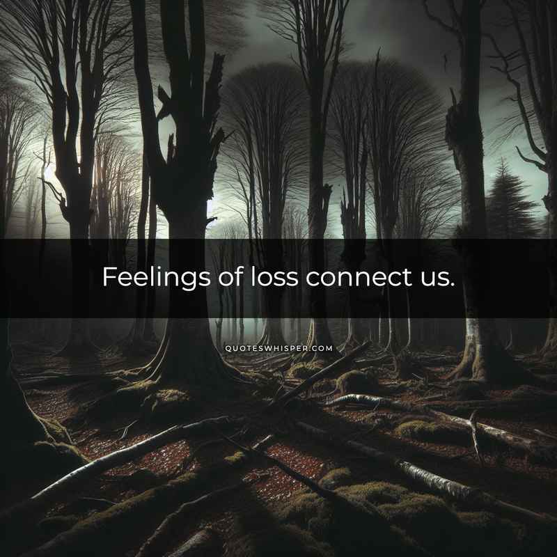 Feelings of loss connect us.
