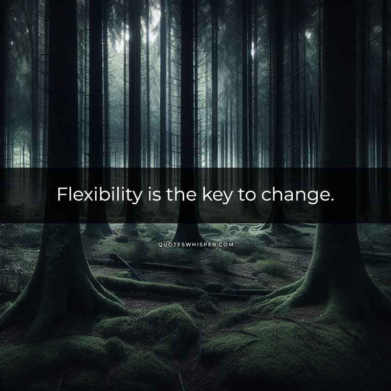 Flexibility is the key to change.