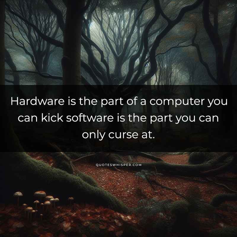 Hardware is the part of a computer you can kick software is the part you can only curse at.