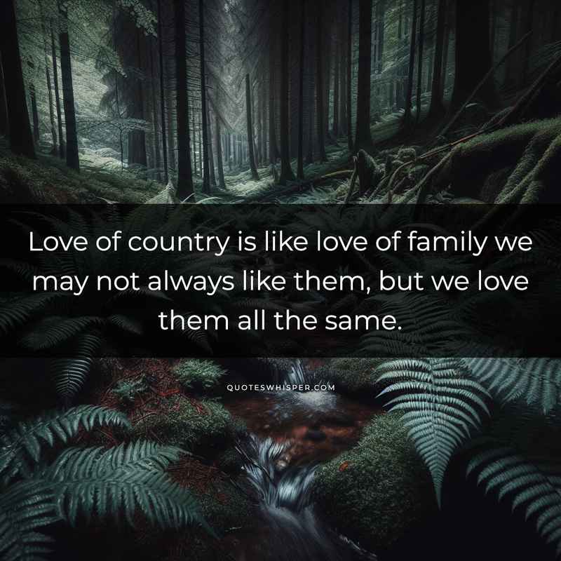 Love of country is like love of family we may not always like them, but we love them all the same.