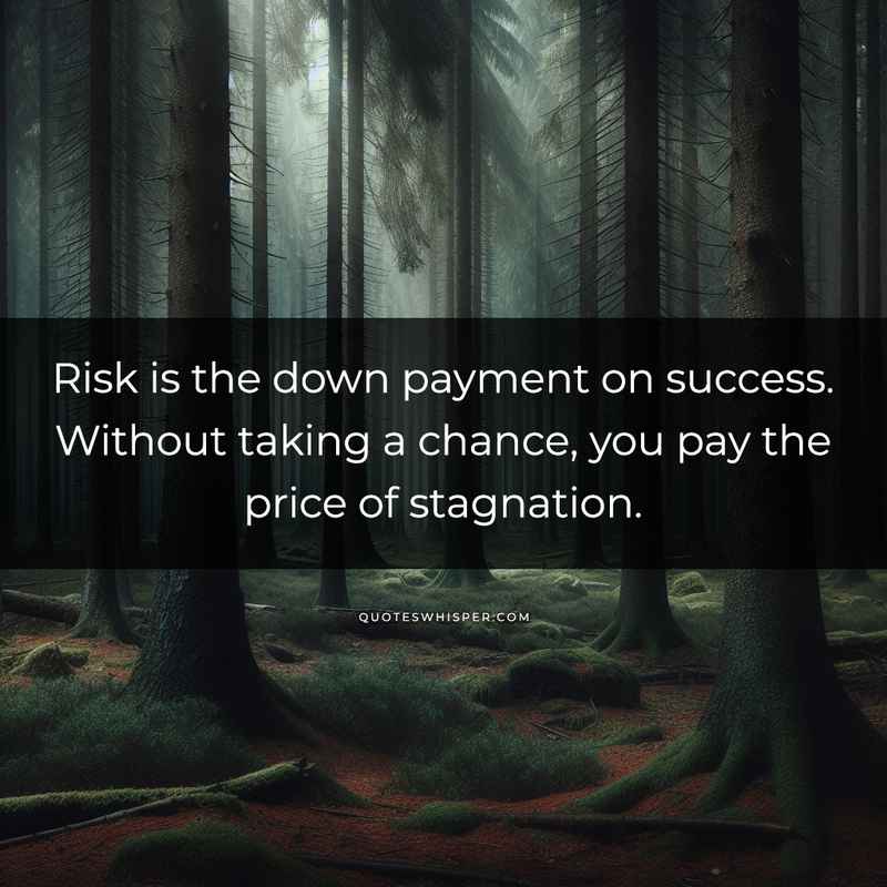Risk is the down payment on success. Without taking a chance, you pay the price of stagnation.