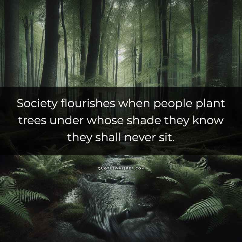 Society flourishes when people plant trees under whose shade they know they shall never sit.