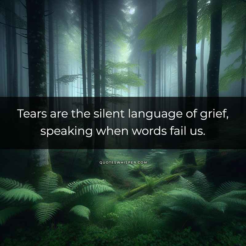 Tears are the silent language of grief, speaking when words fail us.