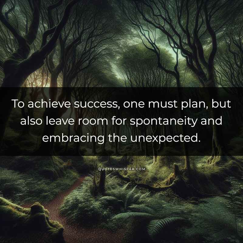 To achieve success, one must plan, but also leave room for spontaneity and embracing the unexpected.