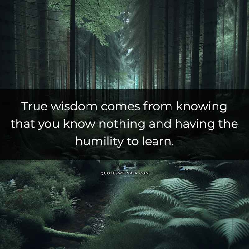 True wisdom comes from knowing that you know nothing and having the humility to learn.