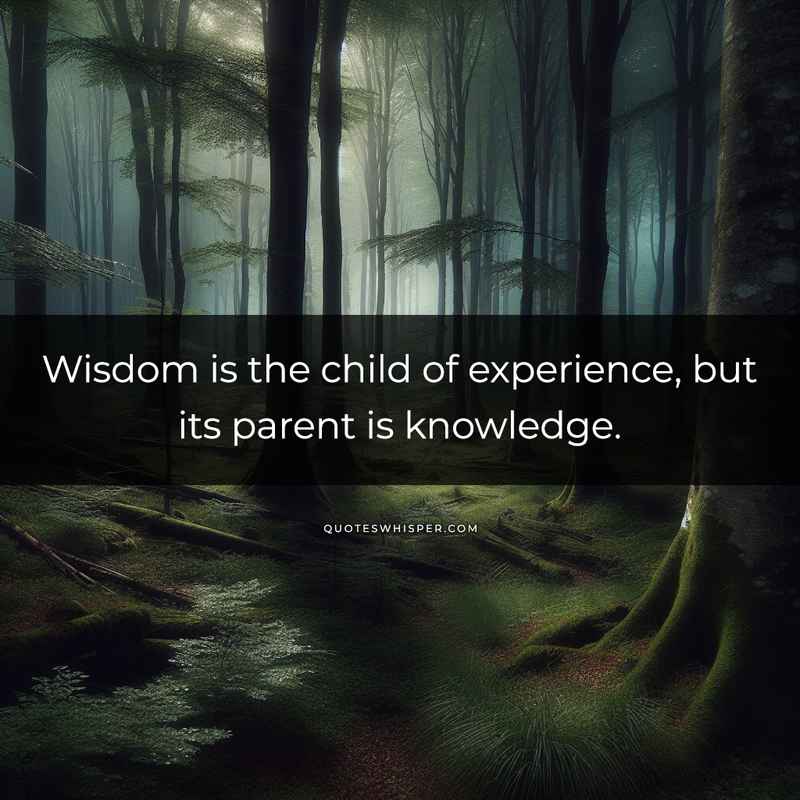 Wisdom is the child of experience, but its parent is knowledge.