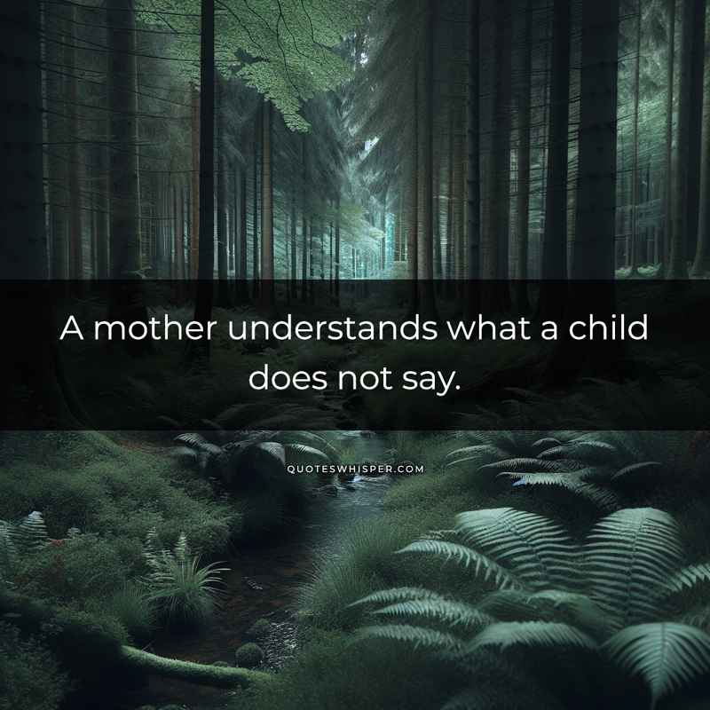 A mother understands what a child does not say.