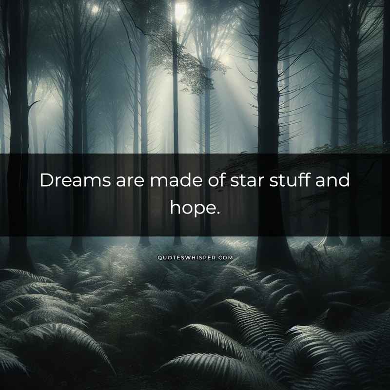 Dreams are made of star stuff and hope.