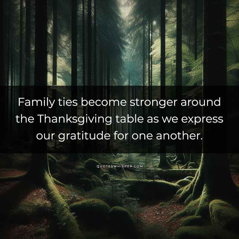 Family ties become stronger around the Thanksgiving table as we express our gratitude for one another.