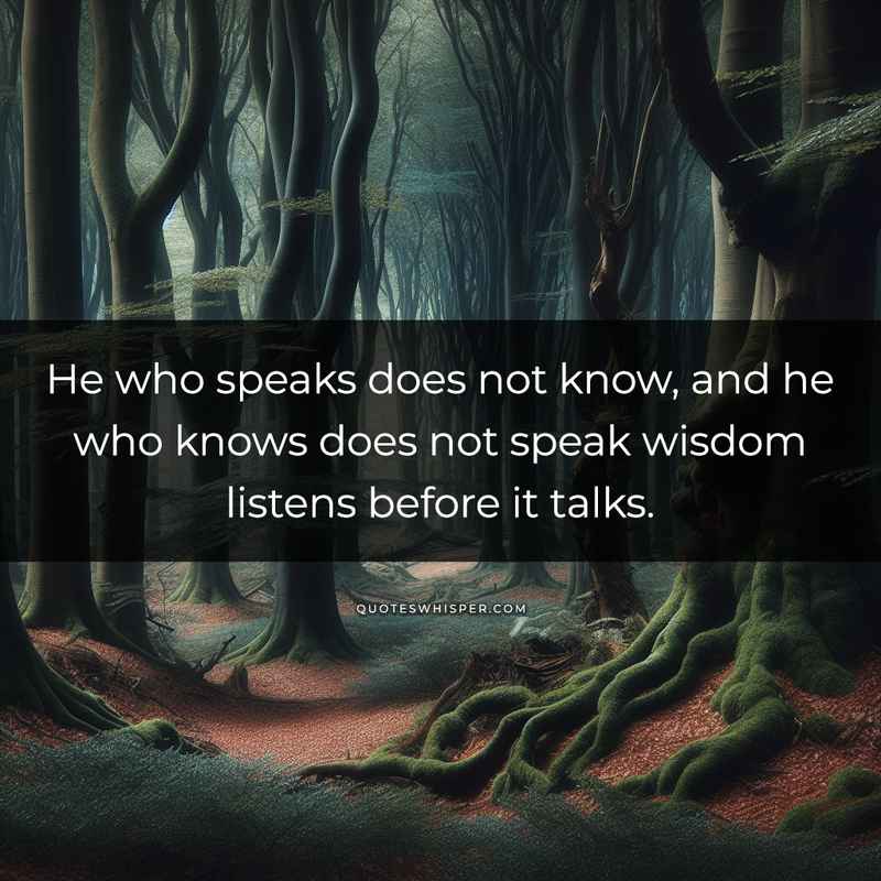 He who speaks does not know, and he who knows does not speak wisdom listens before it talks.