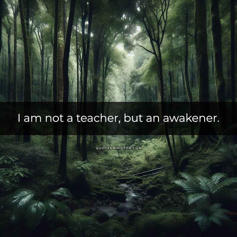 I am not a teacher, but an awakener.