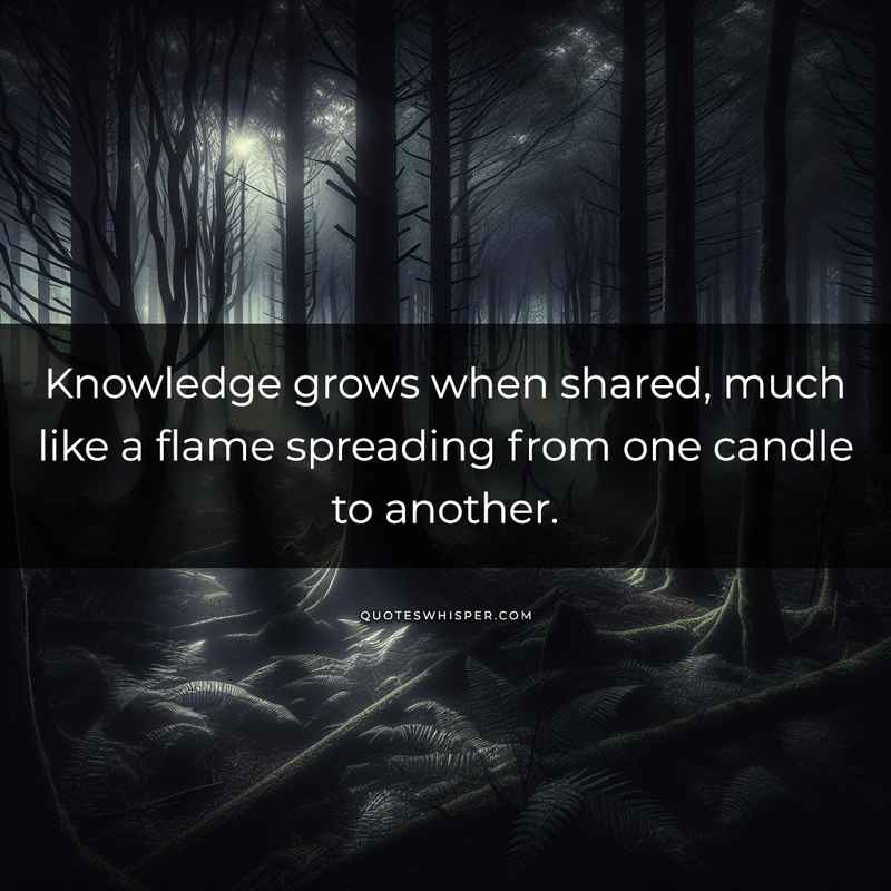 Knowledge grows when shared, much like a flame spreading from one candle to another.