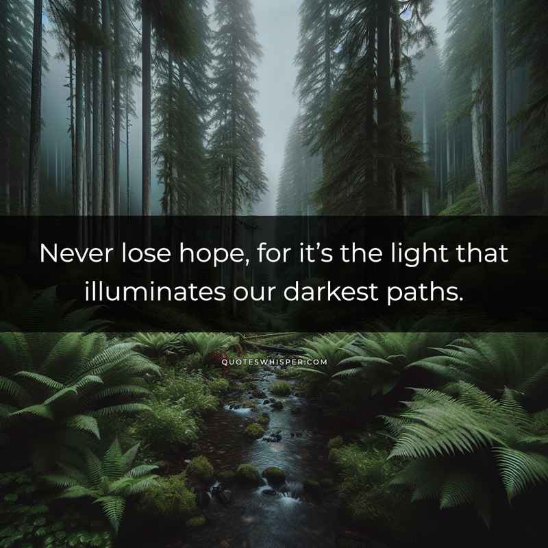 Never lose hope, for it’s the light that illuminates our darkest paths.