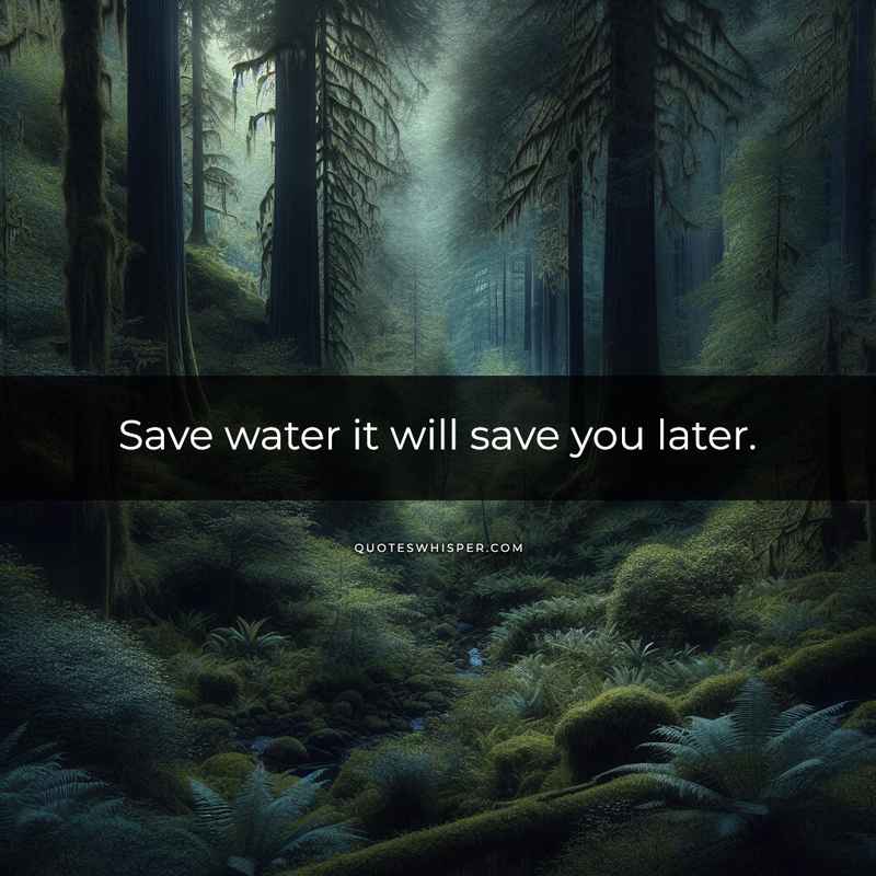 Save water it will save you later.