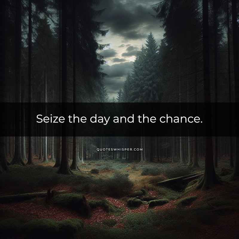 Seize the day and the chance.