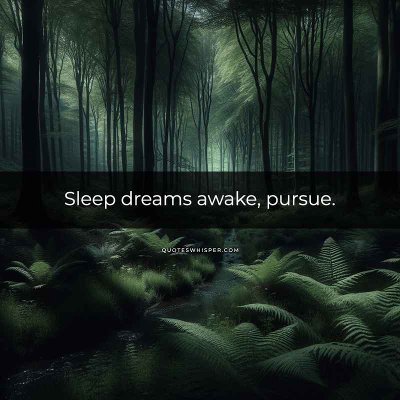 Sleep dreams awake, pursue.
