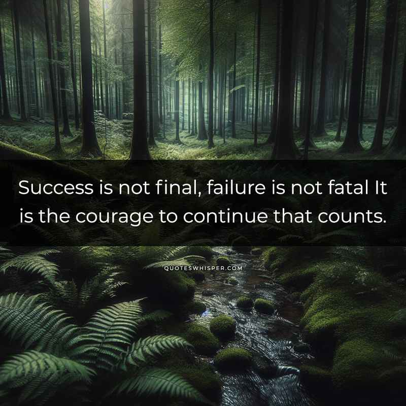 Success is not final, failure is not fatal It is the courage to continue that counts.