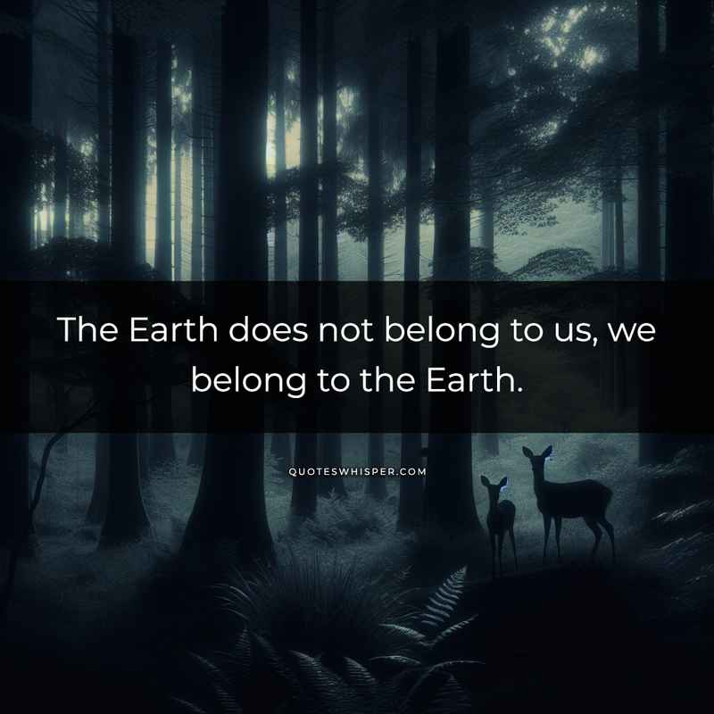 The Earth does not belong to us, we belong to the Earth.