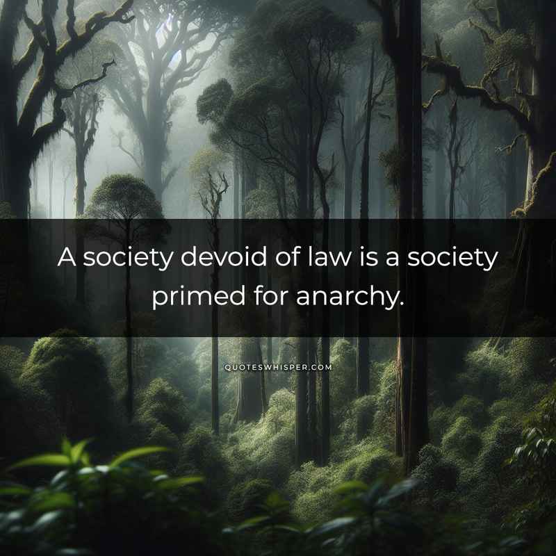 A society devoid of law is a society primed for anarchy.