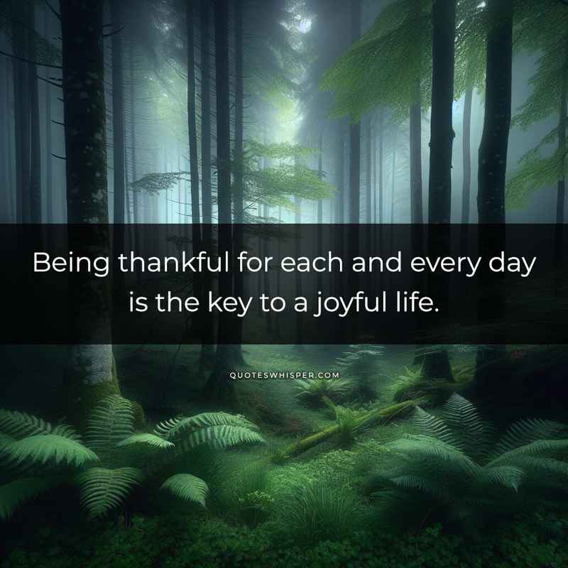 Being thankful for each and every day is the key to a joyful life.