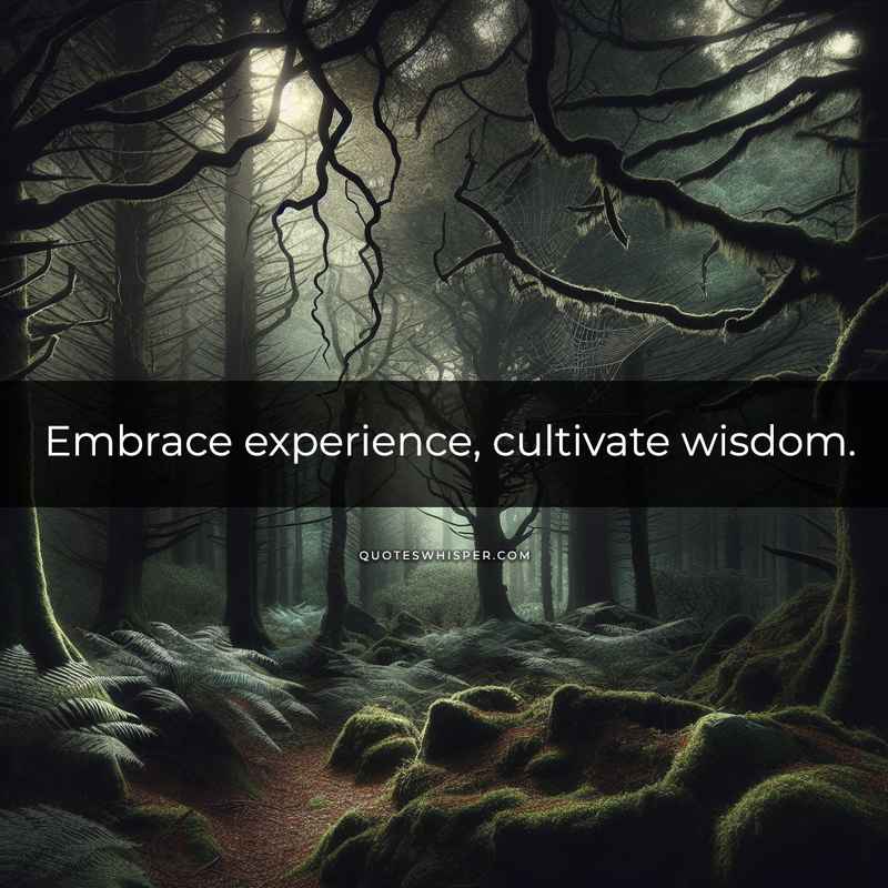 Embrace experience, cultivate wisdom.