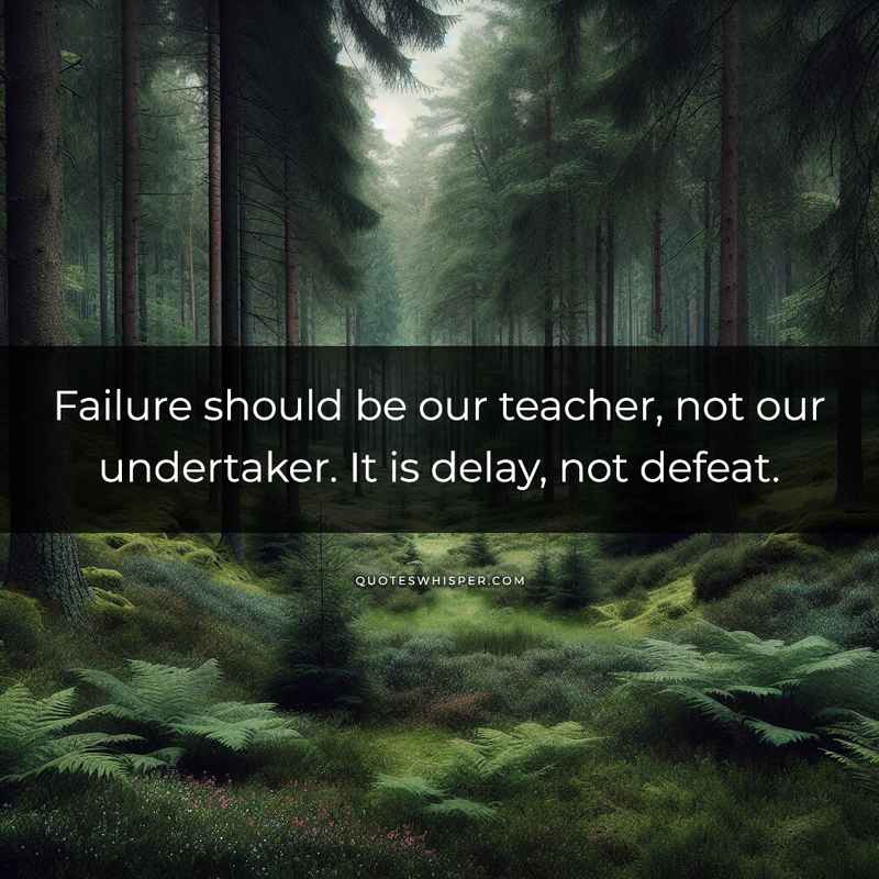 Failure should be our teacher, not our undertaker. It is delay, not defeat.