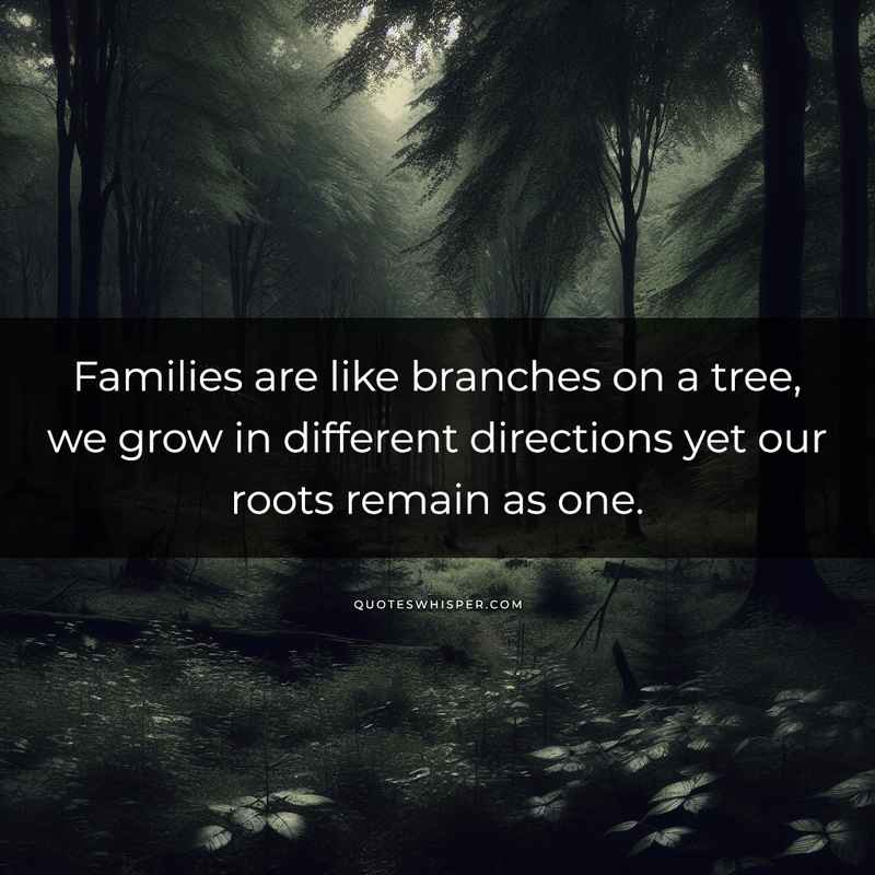 Families are like branches on a tree, we grow in different directions yet our roots remain as one.