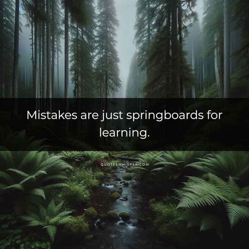 Mistakes are just springboards for learning.
