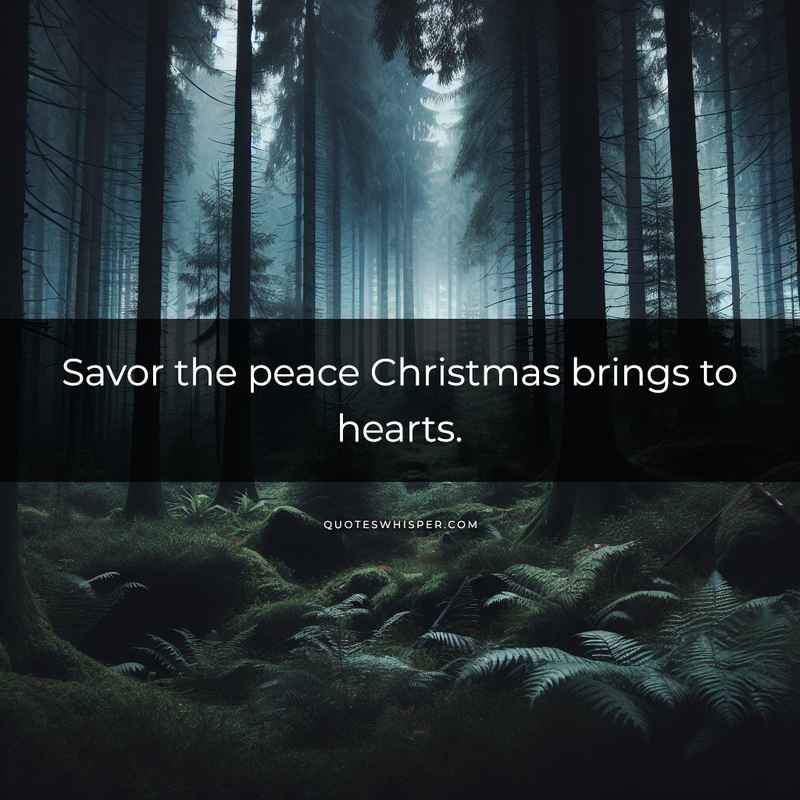 Savor the peace Christmas brings to hearts.