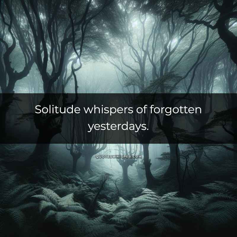 Solitude whispers of forgotten yesterdays.