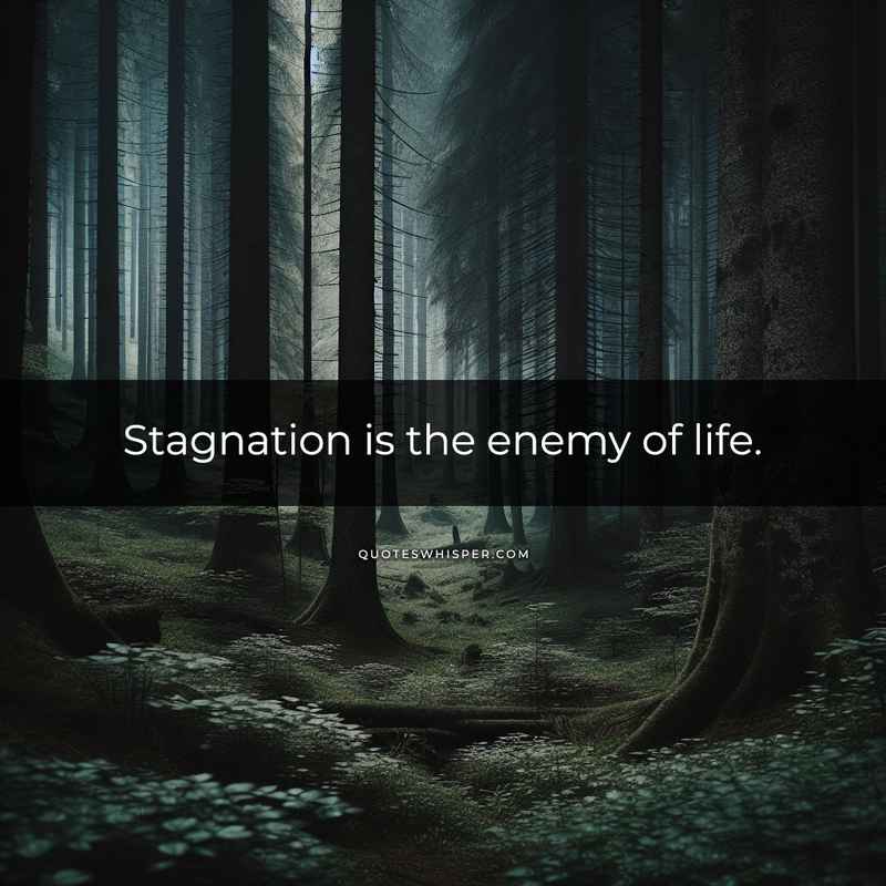 Stagnation is the enemy of life.