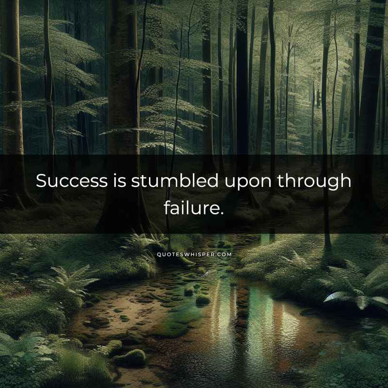 Success is stumbled upon through failure.
