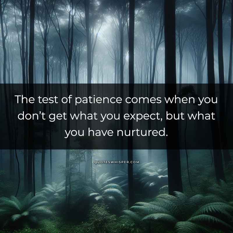 The test of patience comes when you don’t get what you expect, but what you have nurtured.