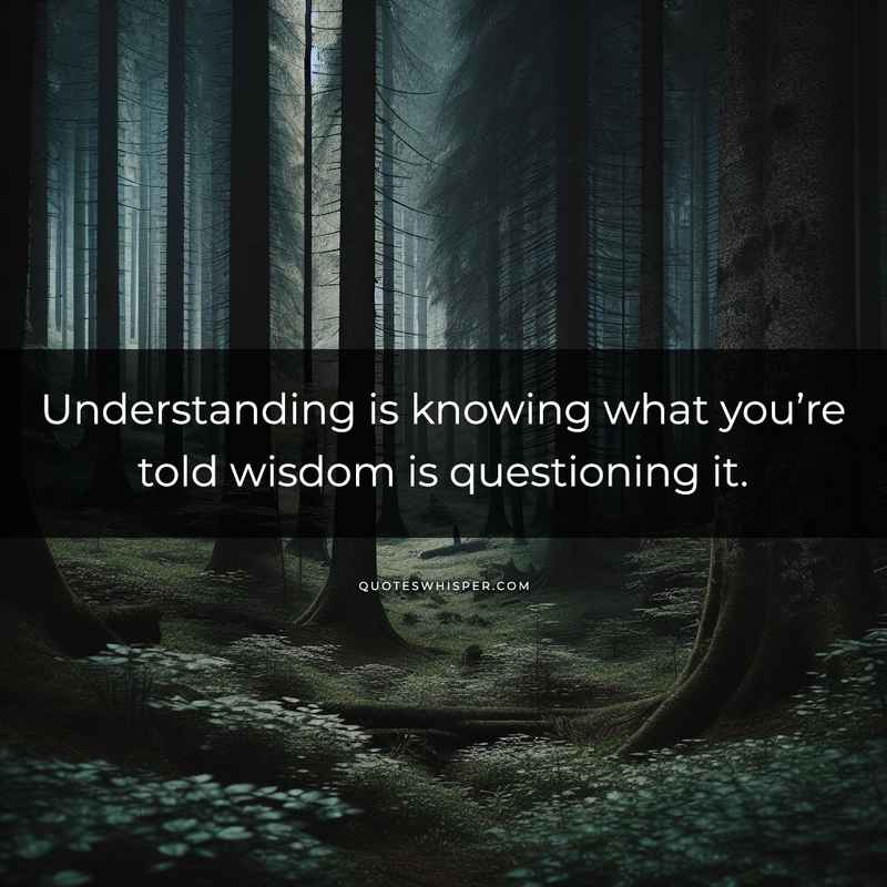 Understanding is knowing what you’re told wisdom is questioning it.
