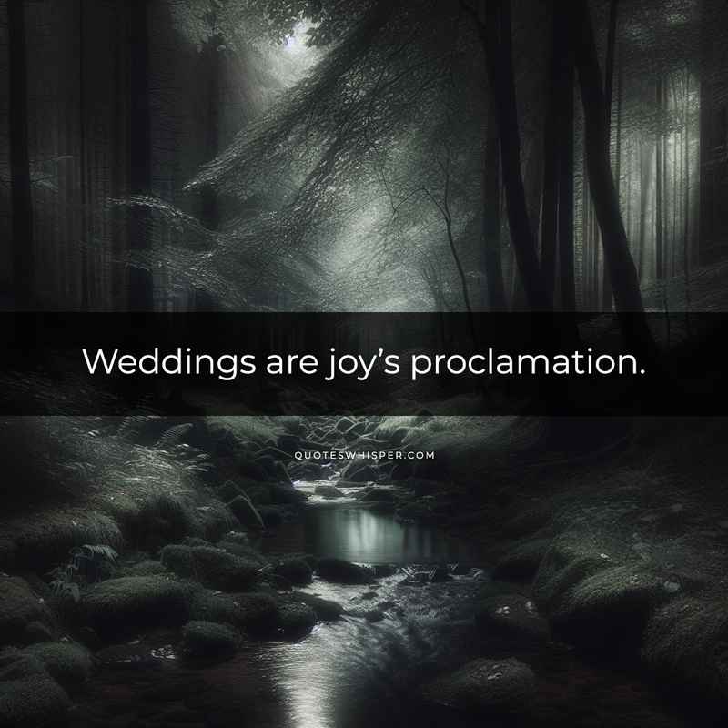 Weddings are joy’s proclamation.