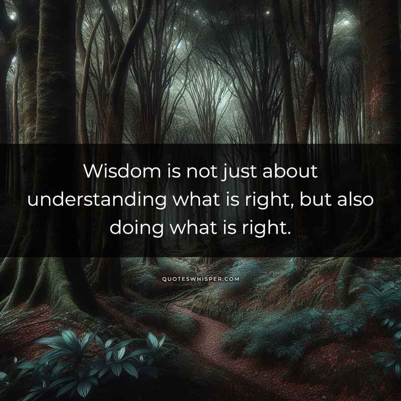 Wisdom is not just about understanding what is right, but also doing what is right.