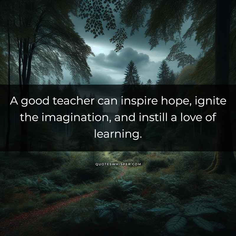 A good teacher can inspire hope, ignite the imagination, and instill a love of learning.