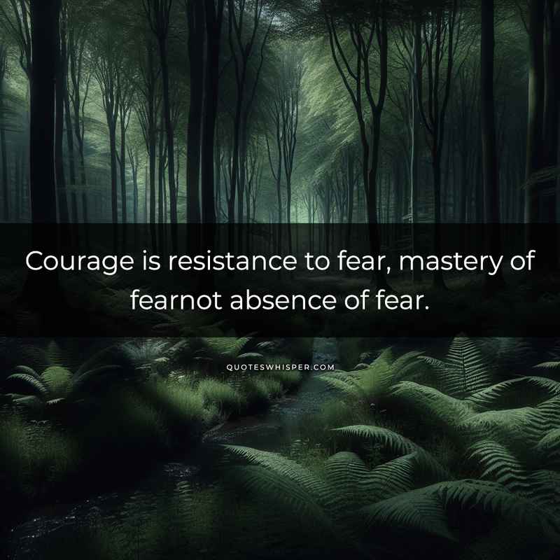 Courage is resistance to fear, mastery of fearnot absence of fear.