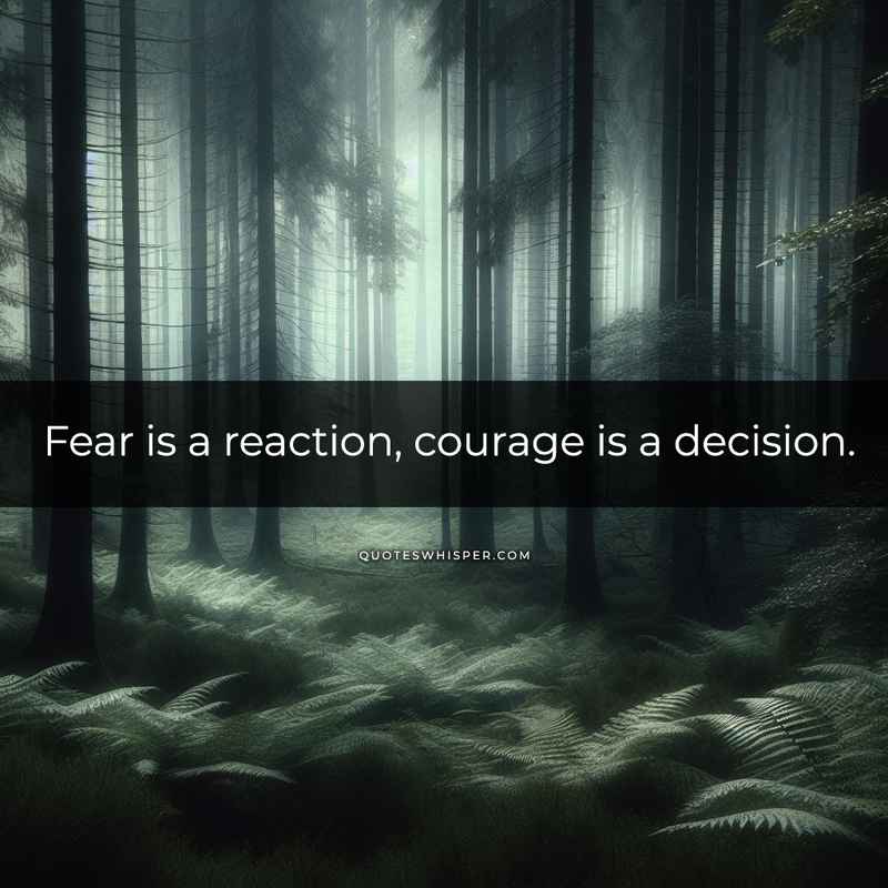 Fear is a reaction, courage is a decision.