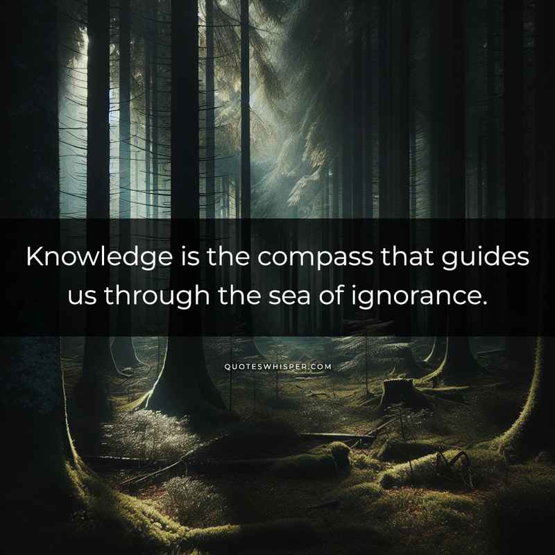 Knowledge is the compass that guides us through the sea of ignorance.
