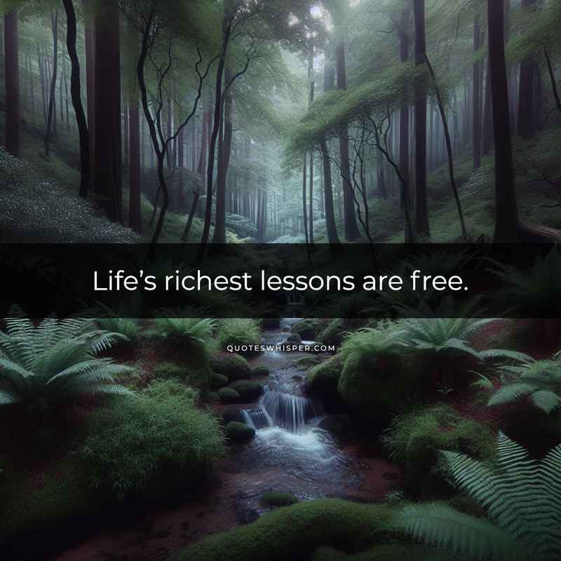 Life’s richest lessons are free.