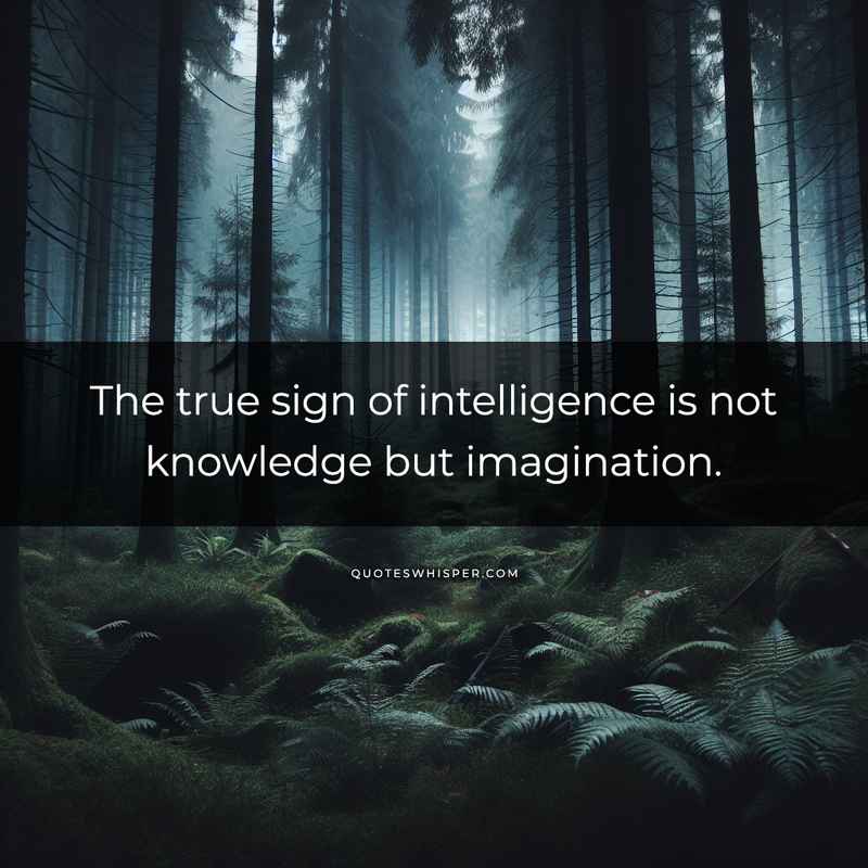 The true sign of intelligence is not knowledge but imagination.